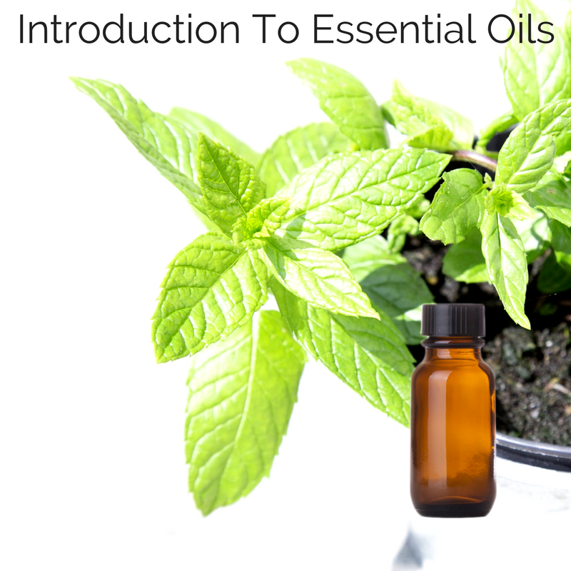 An Introduction To Essential Oils 🎥 📹 🎧 (eo-00) - Ben Balden