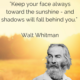 “Keep your face always toward the sunshine – and shadows will fall behind you.”– Walt Whitman