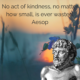 “No act of kindness, no matter how small, is ever wasted.” – Aesop