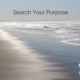 Search Your Purpose ⬇️ 🎥 (1 hr 15 min)