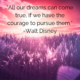 “All our dreams can come true, if we have the courage to pursue them.”–Walt Disney