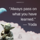 QUOTE – “Always pass on what you have learned.” — Yoda, Star Wars