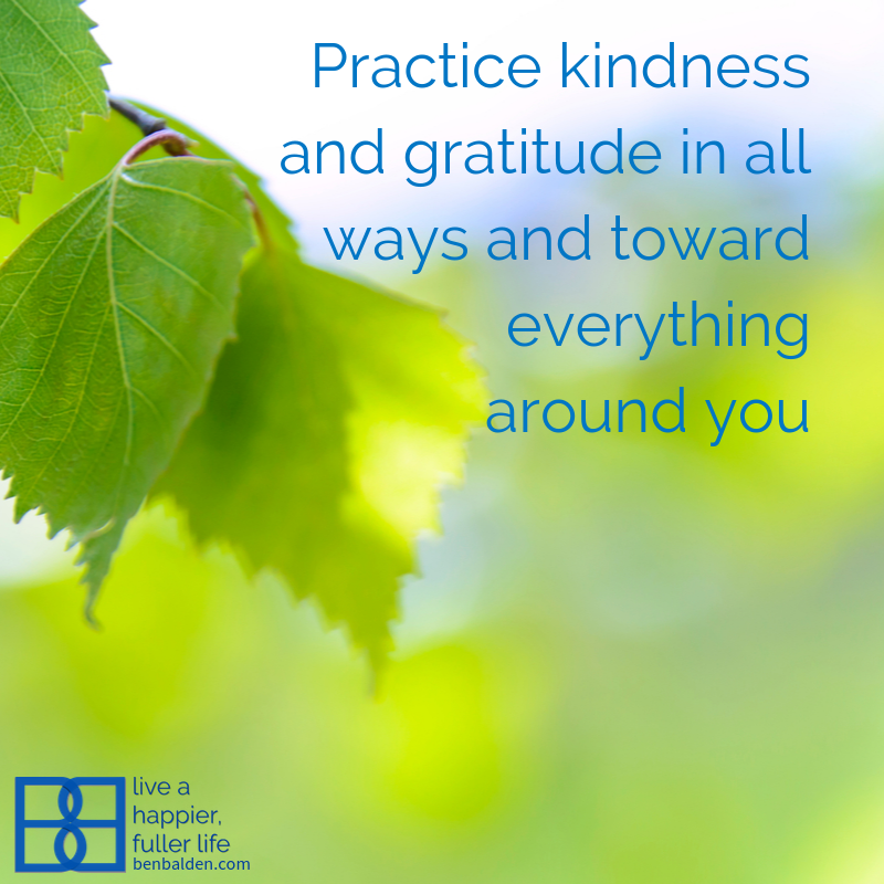 “Practice kindness and gratitude in all ways and toward everything around you”