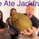 We ate Jackfruit – BEN’S VLOG 📺