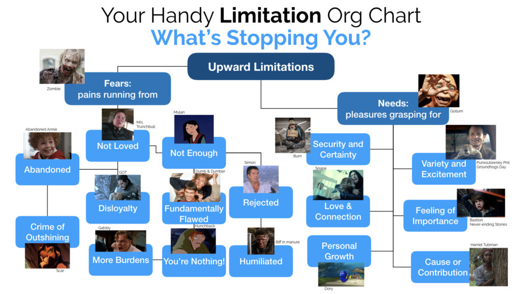 Limitations Org Chart